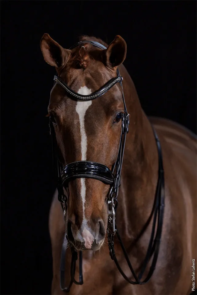 Schockemohle Double Bridle Milan Glam