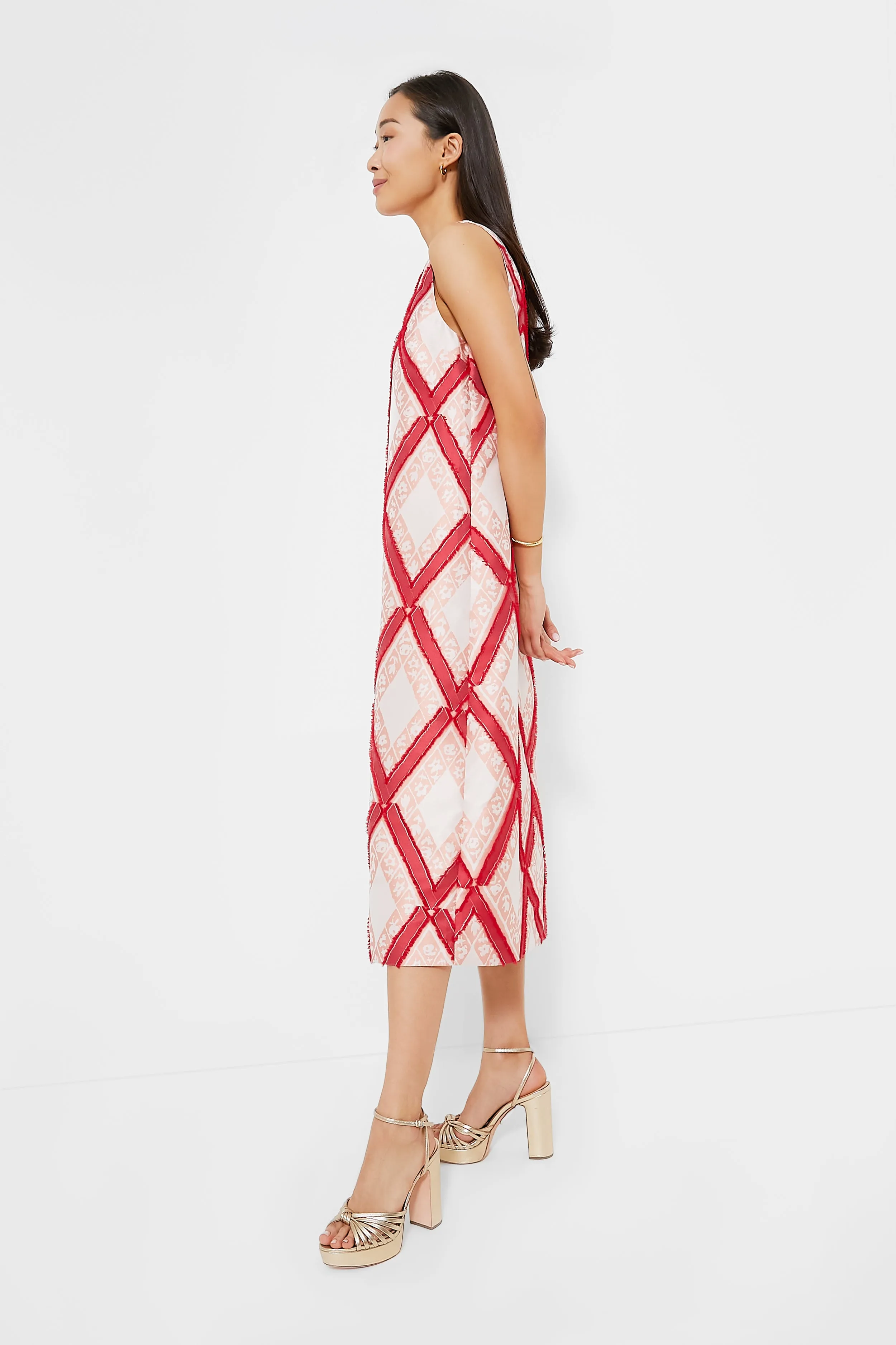 Vermillion Trellis Fil Coupe Francine Dress